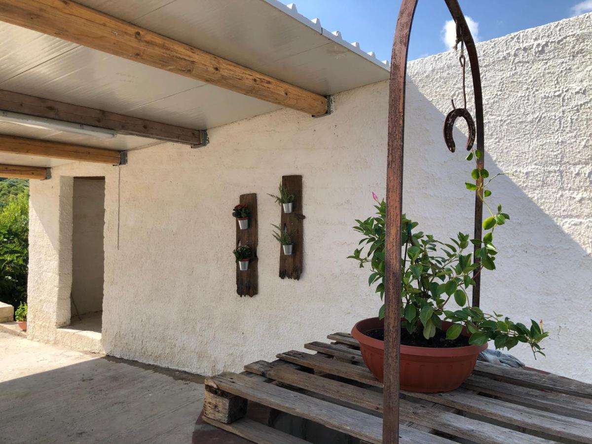 Il Lentisco Villa Noto Luaran gambar
